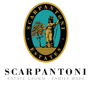 scarpantoni_logo